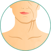 Зморшки на шиї Зморшки на шиї