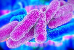 Фаберлик от прыщей: эффективность данной линейки Фаберлик от прыщей: эффективность данной линейки