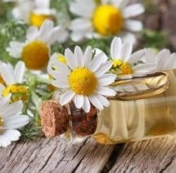 Гормональные прыщи: лечение, причины, диагностика Гормональные прыщи: лечение, причины, диагностика