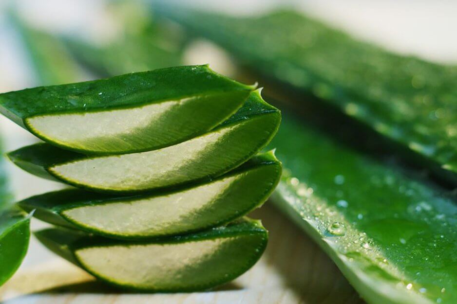 Маска для лица с алоэ от морщин: делаем в домашних условиях