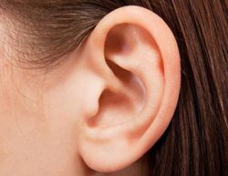 Прыщи из-за почек: причины появления, особенности лечения Прыщи из-за почек: причины появления, особенности лечения