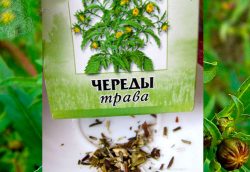 Прыщи от нервов: как лечить, почему образуются, профилактика Прыщи от нервов: как лечить, почему образуются, профилактика