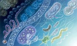 Прыщи после купания: причины, что предпринять Прыщи после купания: причины, что предпринять