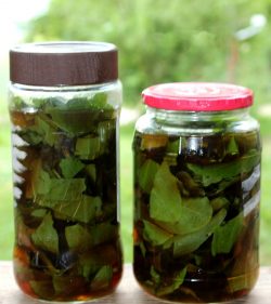 Желудочно-кишечный тракт и прыщи: лечение, профилактика Желудочно-кишечный тракт и прыщи: лечение, профилактика