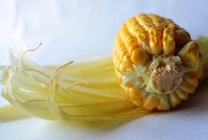 8 несподіваних способів застосування кукурудзяного крохмалю