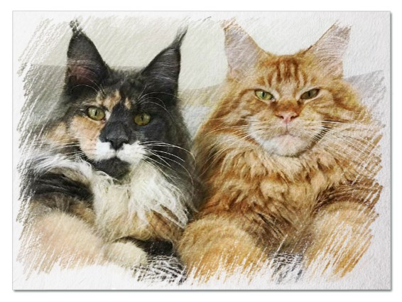 До чого сниться великий кіт - 42 тлумачення