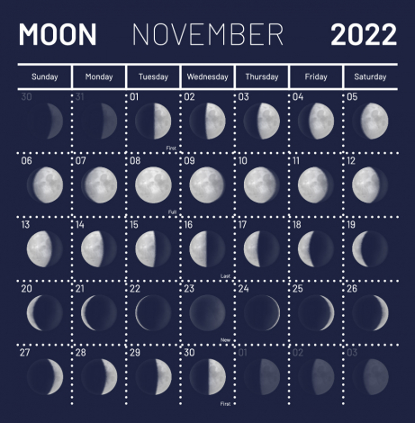 Місячний посівний календар на листопад 2022