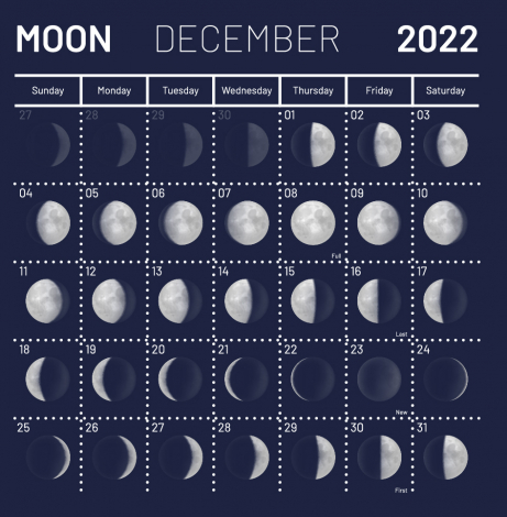 Місячний посівний календар садівників і городників на грудень 2022