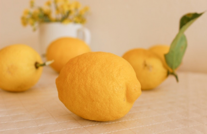 4 варіанти заміни побутової хімії: вибираємо здорову альтернативу