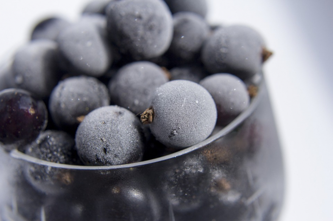 Чим корисна чорна смородина?