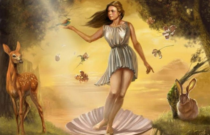 Прикмети і забобони про спатіфілума