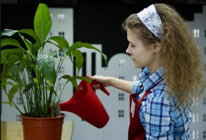 Прикмети і забобони про спатіфілума