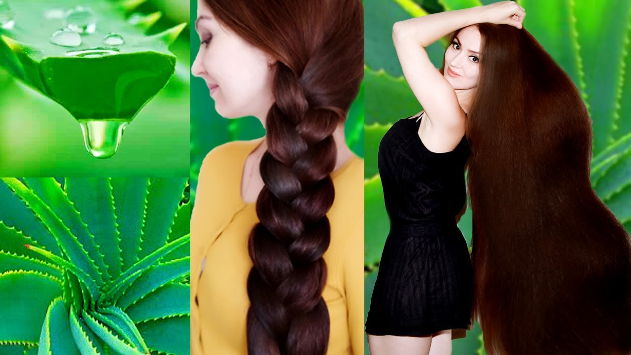 Маски для волосся з алое від випадіння та для зміцнення – рецепти з гелем та соком