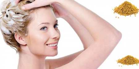 7 корисних властивостей пажитника для волосся і найкращі рецепти