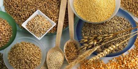 9 продуктів для росту волосся і зміцнення фолікул — список найкорисніших