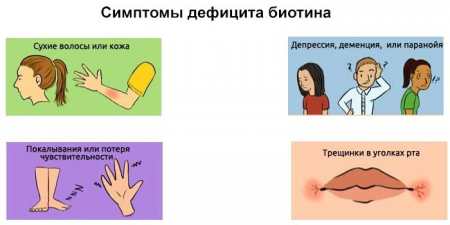 Біотин для росту волосся — інструкція по застосуванню вітамінів