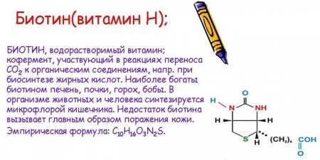 Біотин для росту волосся — інструкція по застосуванню вітамінів