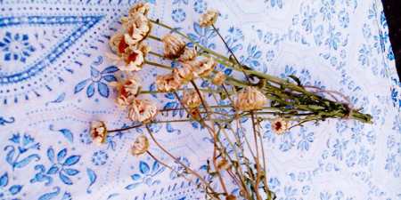 Ромашка для схуднення — особливості приготування і прийому настою, відвару, чаю та ванни