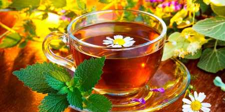 Ромашка для схуднення — особливості приготування і прийому настою, відвару, чаю та ванни