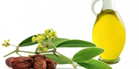 Маски для волосся в домашніх умовах — рецепти приготування для зміцнення, відновлення та живлення