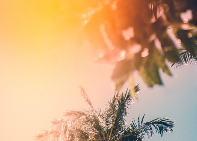 Життєві цикли людини: як за датою народження дізнатися, у якому періоді ти перебуваєш