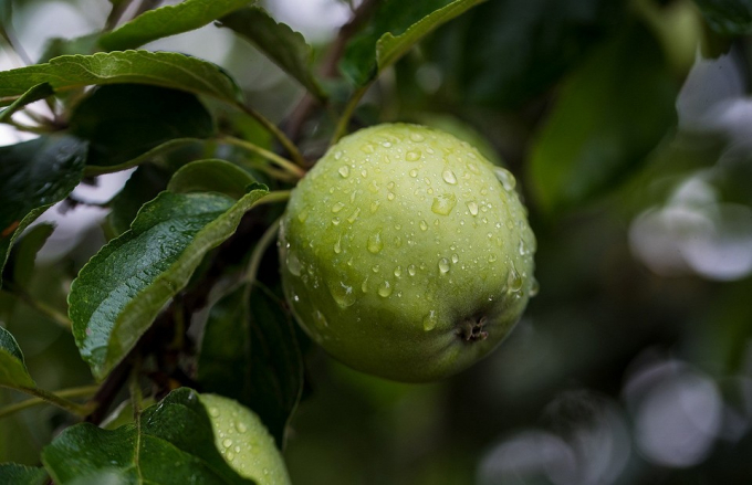 Місячний гороскоп для всіх знаків зодіаку з 9 по 15 травня