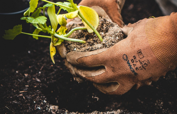 Понад 40 народних прикмет на врожай у Росії