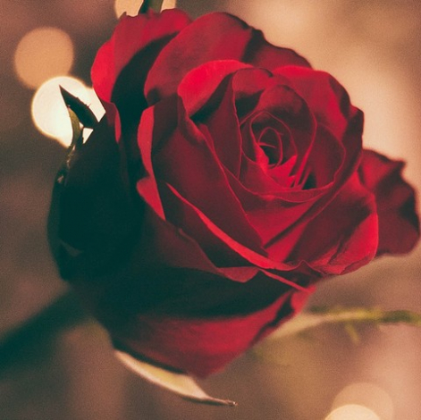 Плюшеве серце або шкіряний батіг: який ти подарунок на 14 лютого за знаком зодіаку