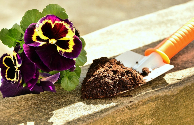 Бачу мету – не бачу перешкод: гороскоп для всіх знаків зодіаку з 27 червня по 3 липня