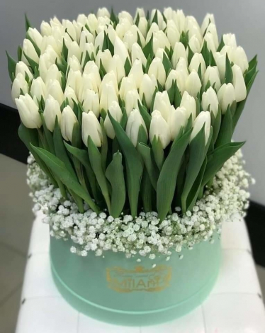 Оригінальні побажання доброго дня у прозі