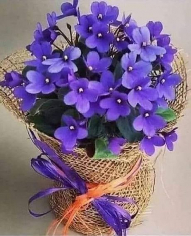 Привітання на День зустрічі випускників своїми словами