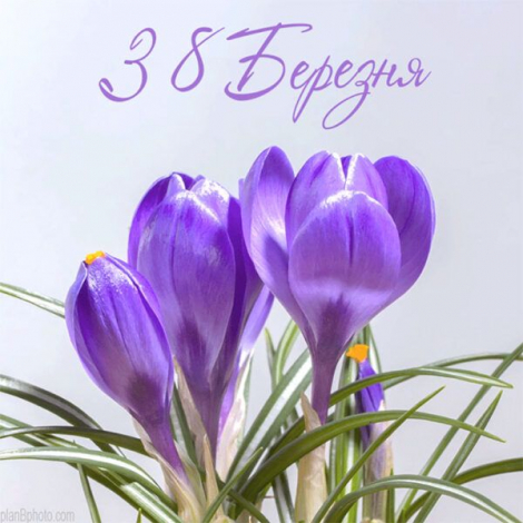 Короткі привітання з 8 Березня українською