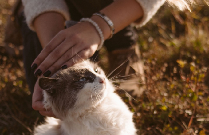 Значення числа 5: який характер мають «відмінники», згідно з нумерологією