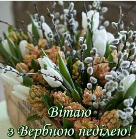 Щирі привітання з Вербною неділею до сліз