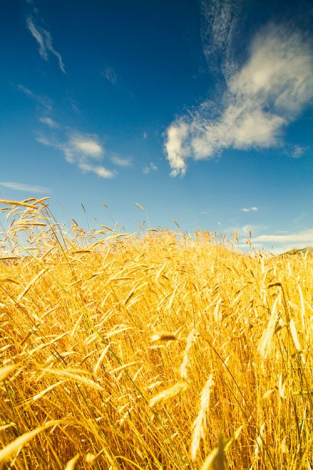 Оригінальні привітання з 23 лютого своїми словами