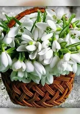 Зворушливі привітання з Днем перемоги у прозі