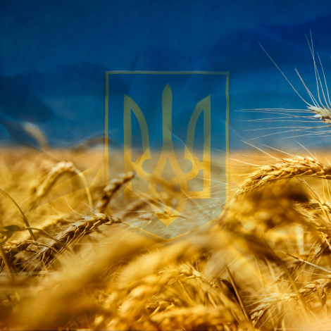 Красиві привітання з 23 лютого своїми словами, у прозі