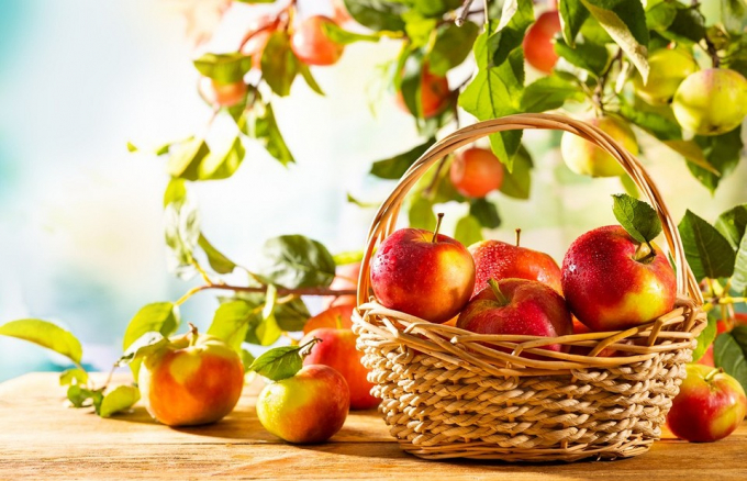 Медовий, Яблучний та Горіховий Спас: чим корисні традиційні суперфуди