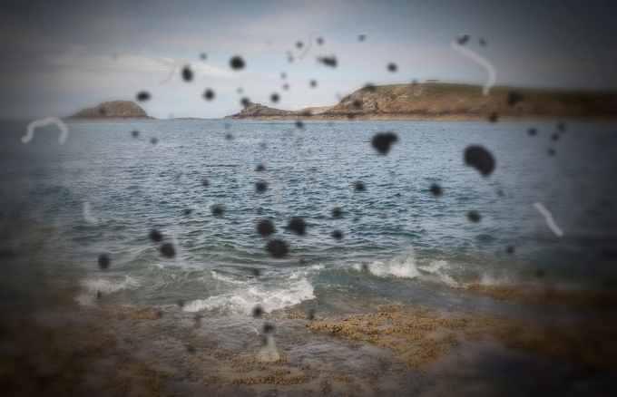 Мушки перед очима: чи є небезпечні причини і як позбутися назавжди