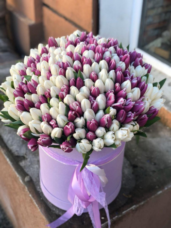 Зворушливі компліменти хлопцю своїми словами