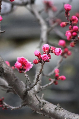 Щирі компліменти чоловіку у прозі