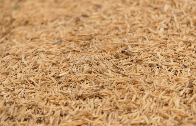 Продукти, багаті на клітковину: список для фігури, краси та здоров'я