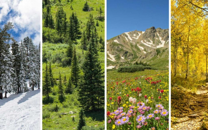 Ім'я Ліна: походження та значення, характер та доля