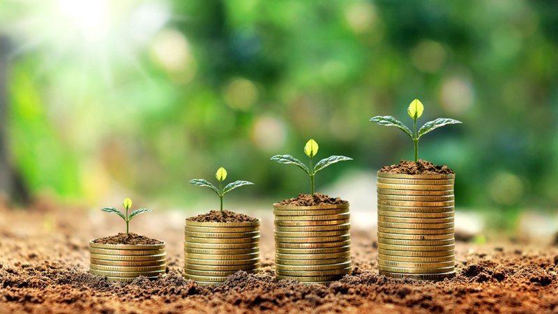 Гороскоп Змії на 2023 рік Кролика для чоловіків та жінок