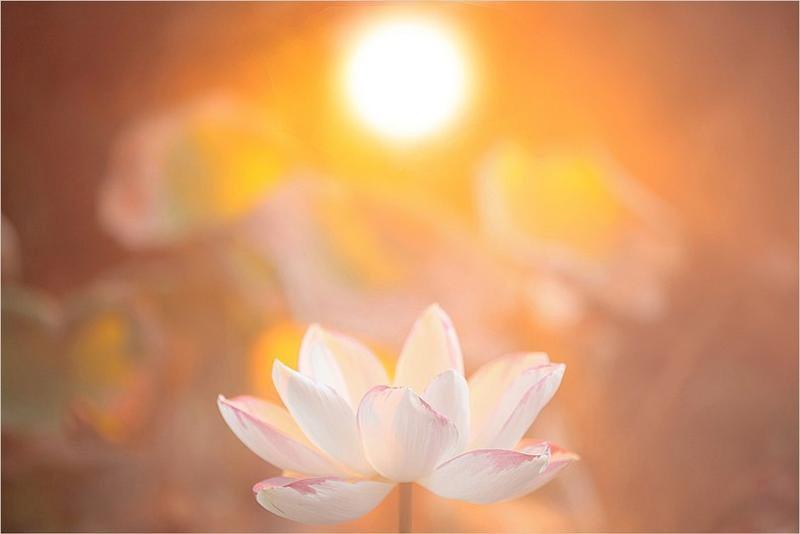 Гороскоп Змії на 2023 рік Кролика для чоловіків та жінок