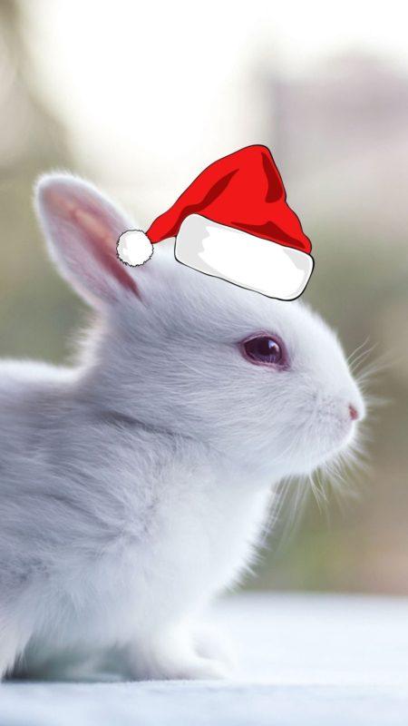 Новорічні заставки на телефон 2023: найкраща колекція!