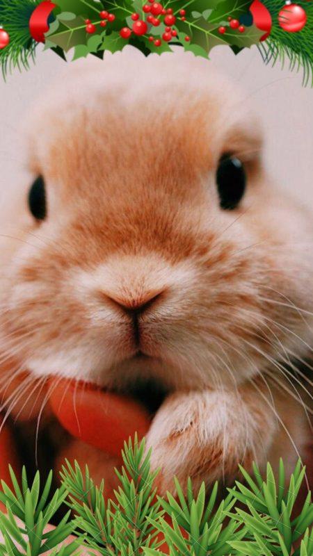 Новорічні заставки на телефон 2023: найкраща колекція!