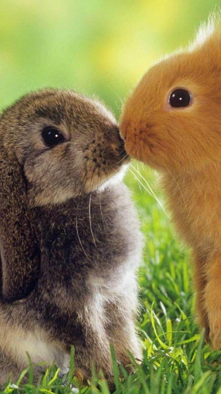 Новорічні заставки на телефон 2023: найкраща колекція!