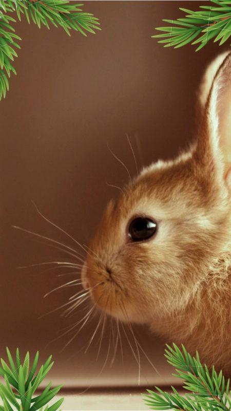 Новорічні заставки на телефон 2023: найкраща колекція!