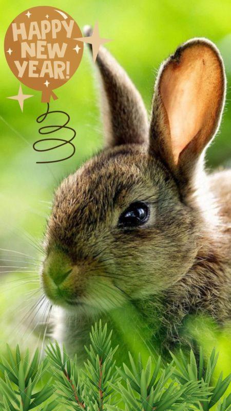 Шпалери з Кроликами на Новий рік 2023: безкоштовно!